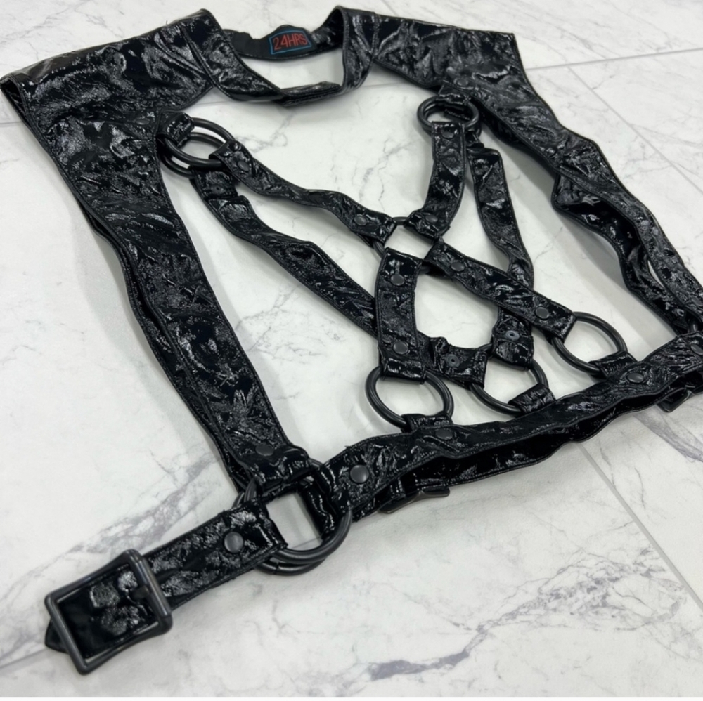 Lip Service x 24hrs deadstock vinyl harness